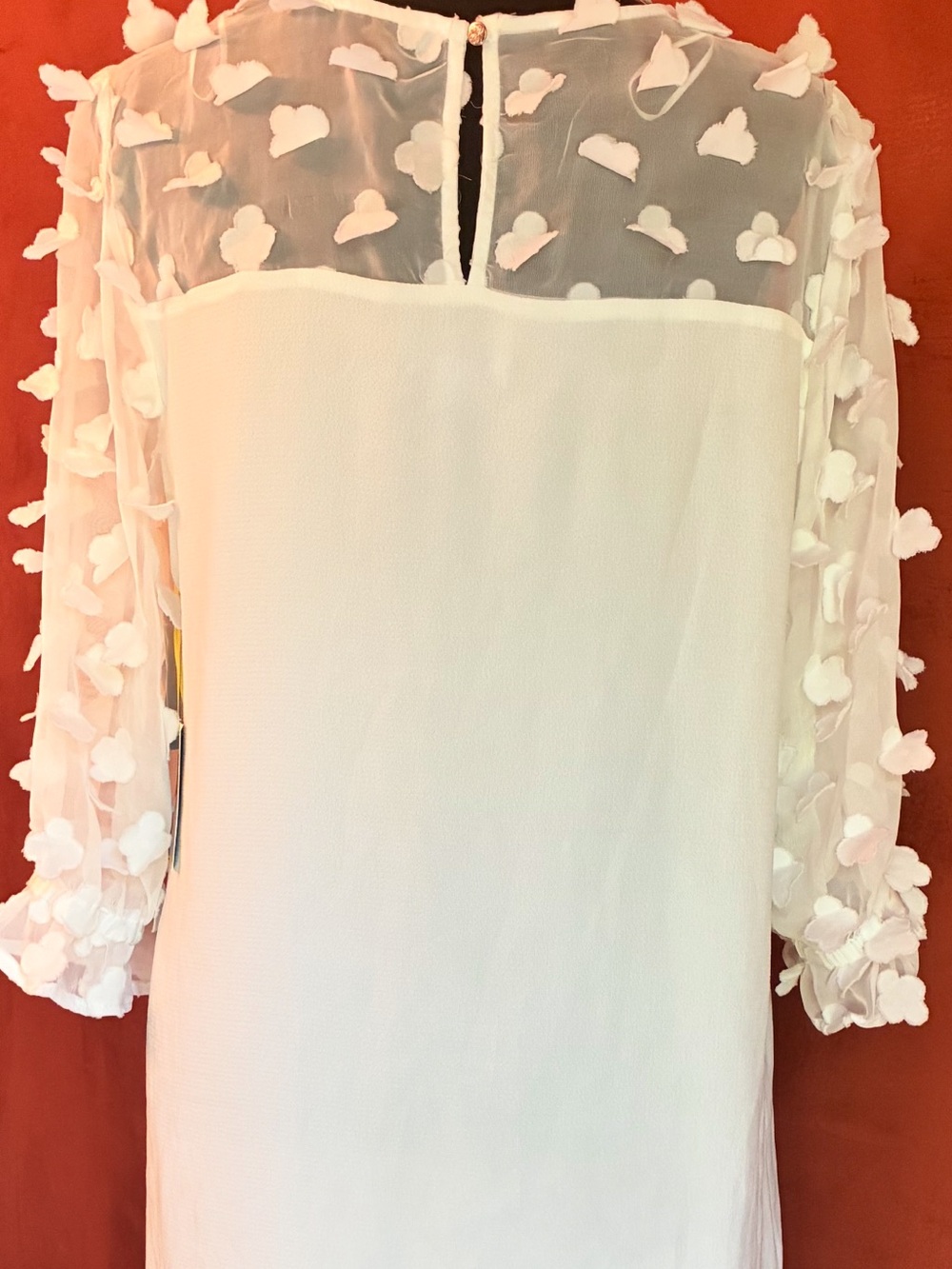 CeCe NWT Ivory Sheer Floral-Appliqué Long Sleeve Shift Dress, Size M - Picture 14 of 15